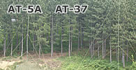 AT-5A AT-37